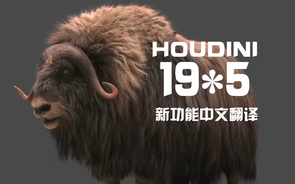 Houdini19.5?1??????????