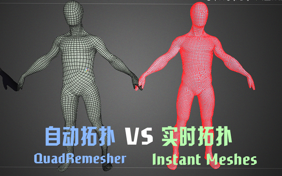 3dcoat ?????? ??? ??????? InstantMeshes vs QuadRemesher