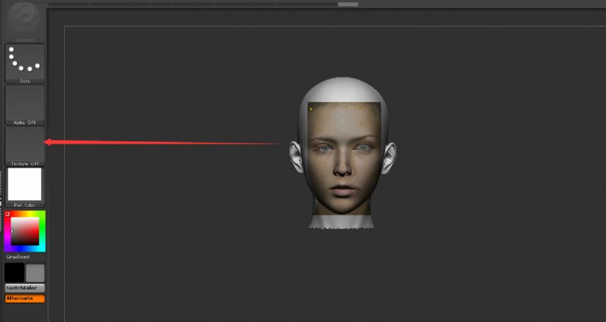 zbrush4r7ͶӰ@ʾDƬ(do)DƬǿյ