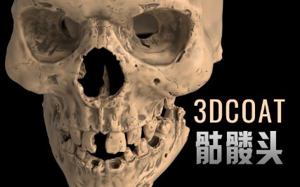 3dcoat???????????????