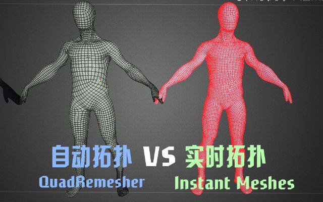 3dcoat rؓ  Ԅؓ InstantMeshes vs QuadRemesher