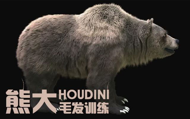 ???HOUDINI??????