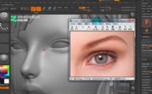 Zbrush挍(sh)۲ģ