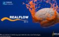 realflow????????